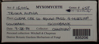 Image Associated With the Occurence